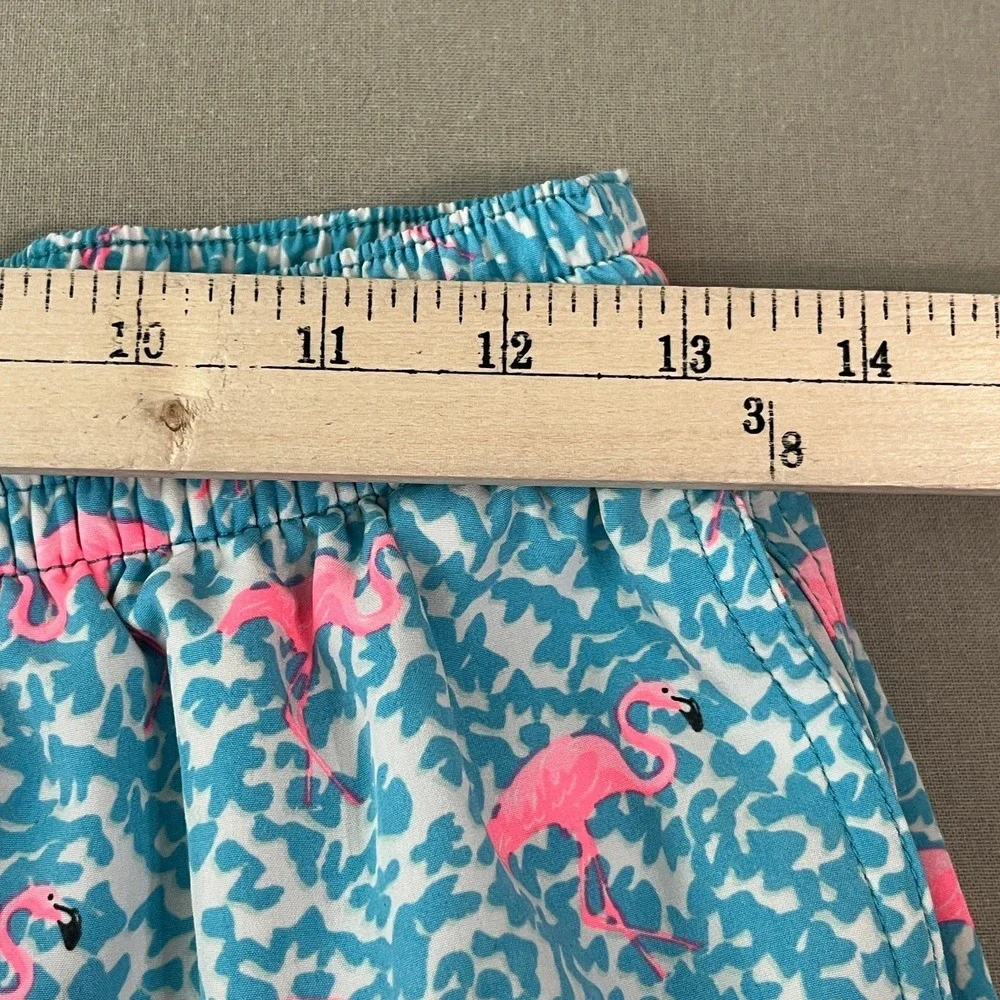 Chubbies The Domingos Are For Flamingos Swim Trunks Mens Medium Blue Beach